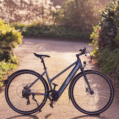 Emu Evo Step Through Hybrid Electric City Bike