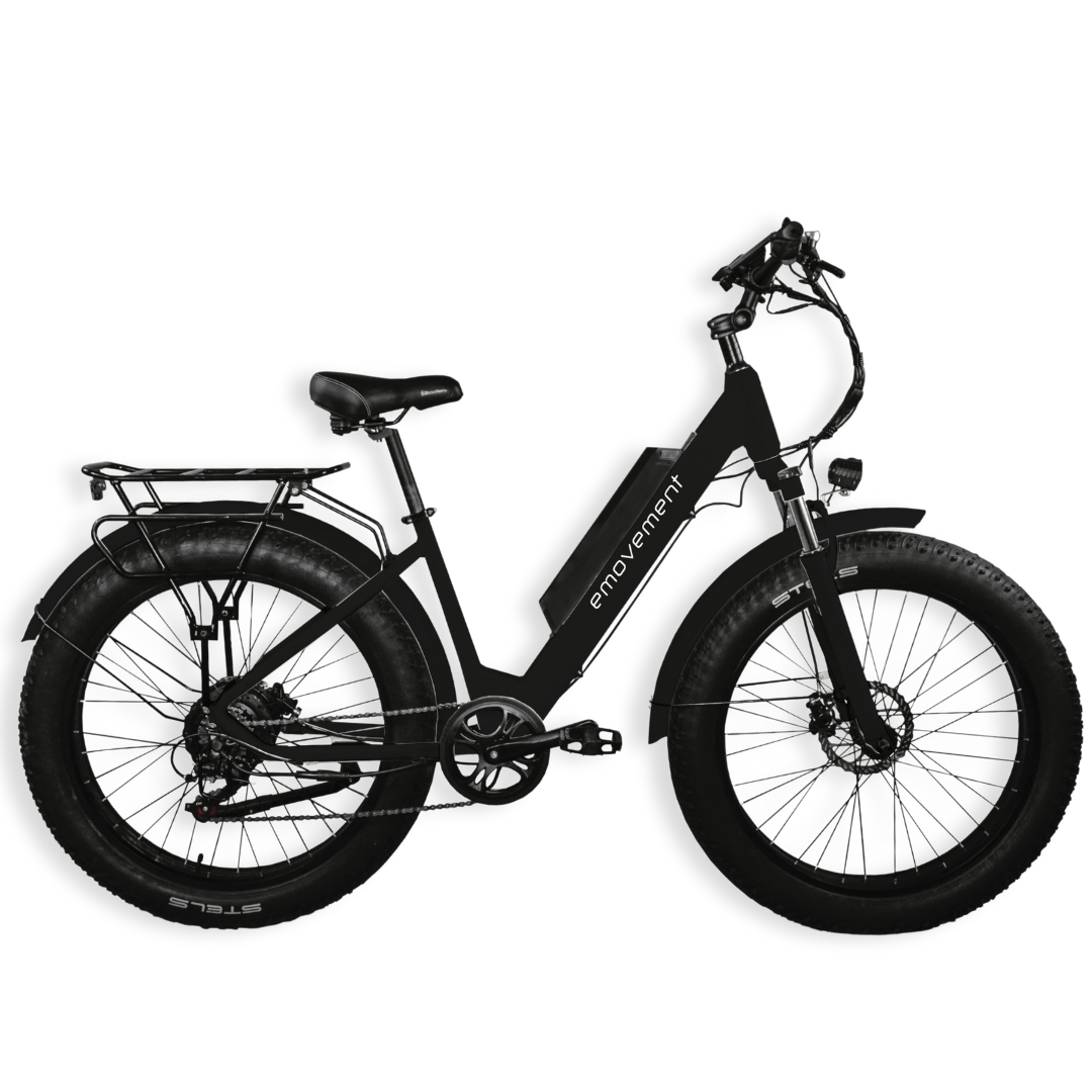 E Movement Aries Electric Mountain Bike 250W