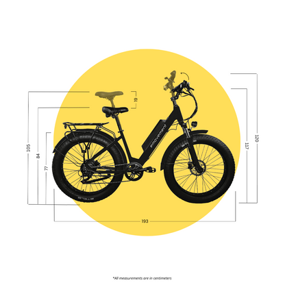 E Movement Aries Electric Mountain Bike 250W