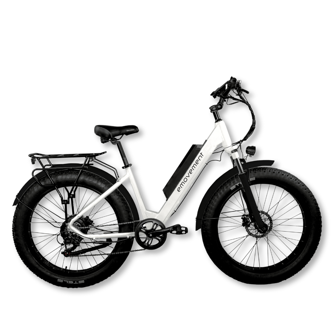 E Movement Aries Electric Mountain Bike 500W