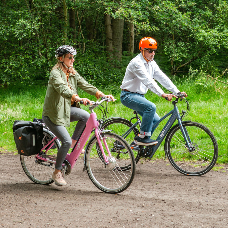 Emu Classic Step Though Electric City Bike