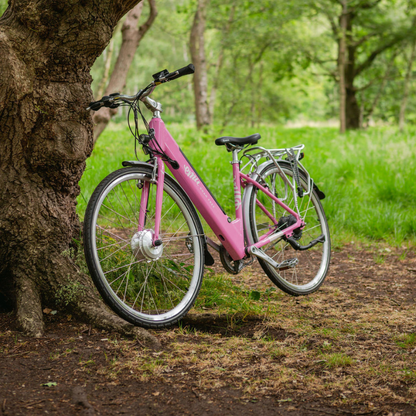 Emu Classic Step Though Electric City Bike