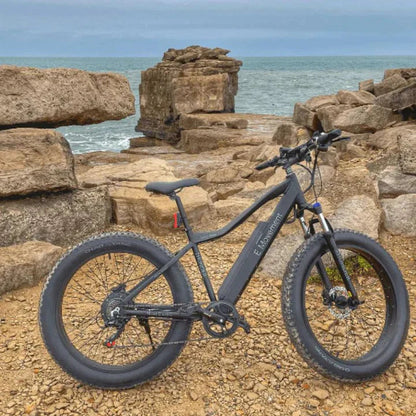 E Movement Thunder v4.2 Electric Mountain Bike 250W